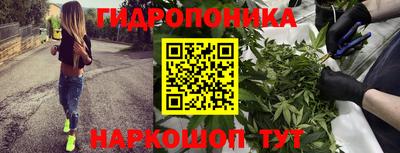 гидропоника Пыть-Ях