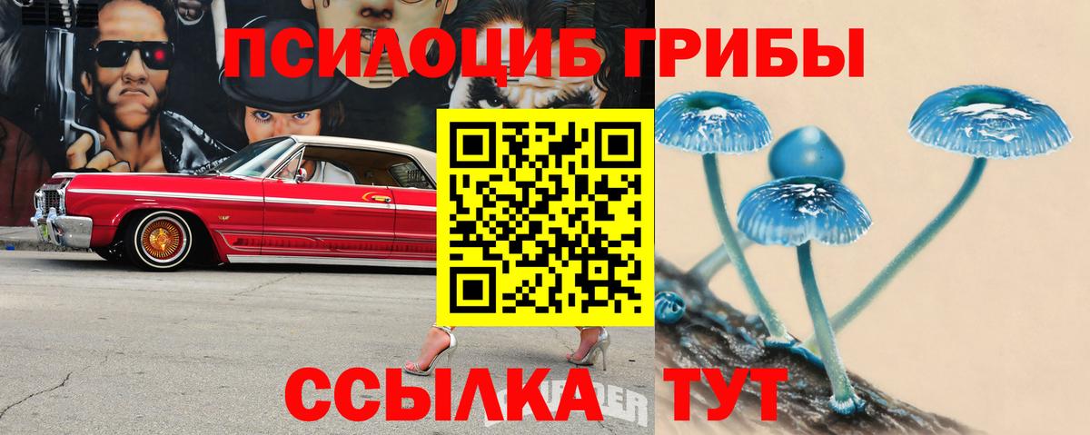 Галлюциногенные грибы Cubensis  наркошоп  Сорочинск  Вход с VPN 