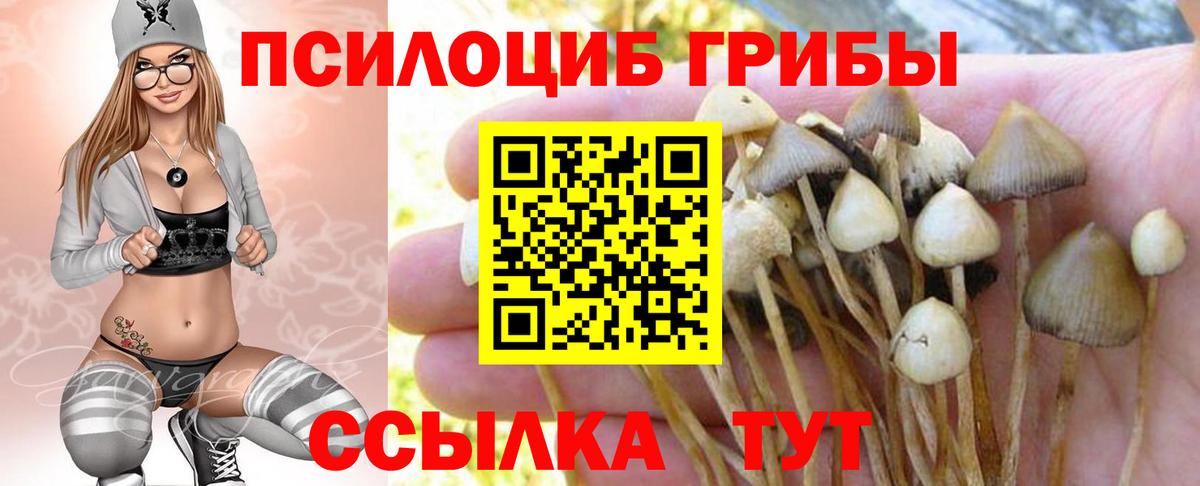 Галлюциногенные грибы MAGIC MUSHROOMS Сорочинск